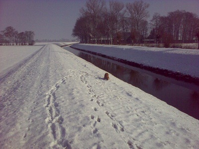 Flirten im schnee